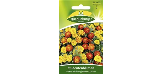 Studentenblumensamen 'Bonita-Mischung'