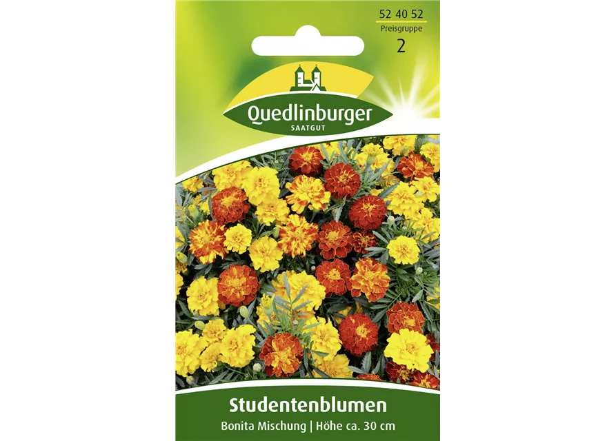 Studentenblumensamen 'Bonita-Mischung'