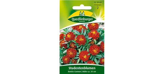 Studentenblumensamen 'Carmen'