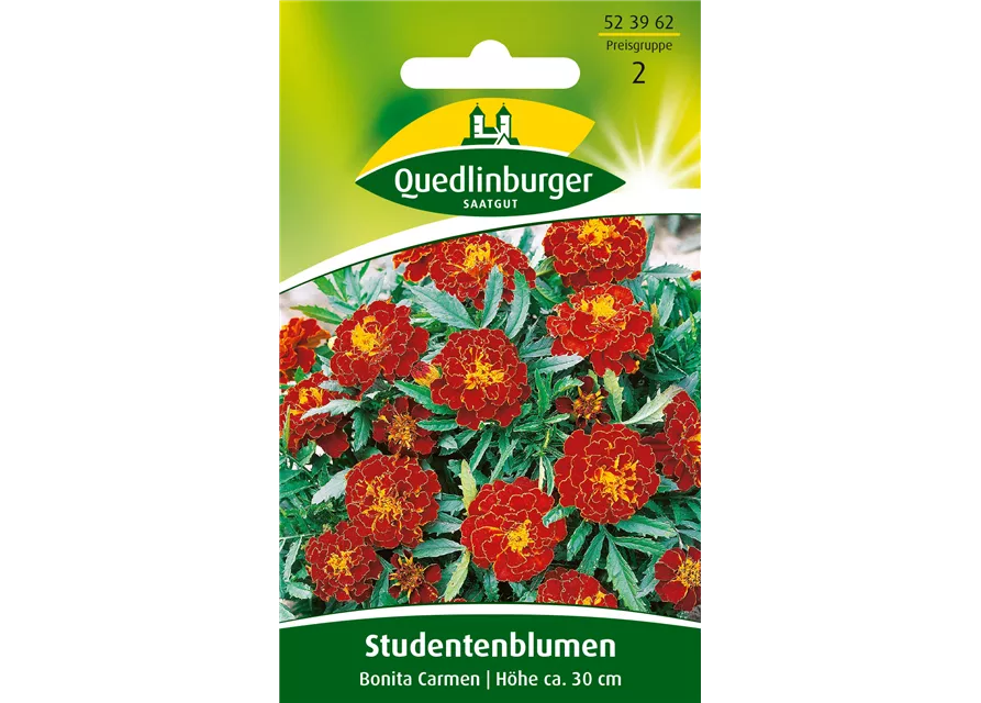 Studentenblumensamen 'Carmen'