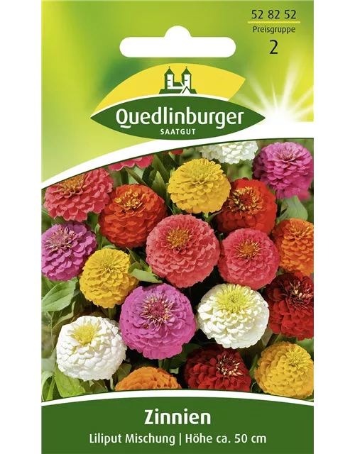 Zinniensamen 'Liliput'