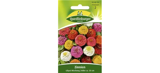 Zinniensamen 'Liliput'