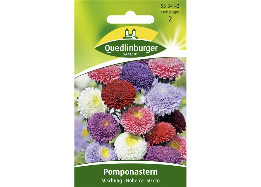 Gartenastersamen 'Pompon'