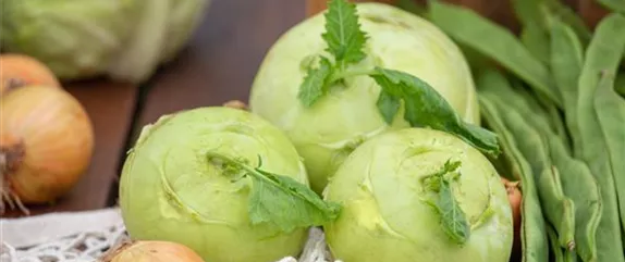 Im eigenen Garten Gemüse anbauen