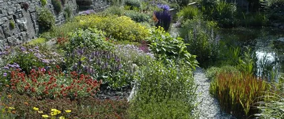 Jetzt ist es wieder soweit: Die Gartengestaltung mit Stauden