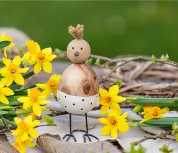 Die bunte Blütenpracht der frühblühenden Pflanzen zu Ostern 