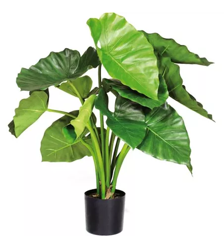 fleur ami ALOCASIA CALIDORA Kunstpflanze