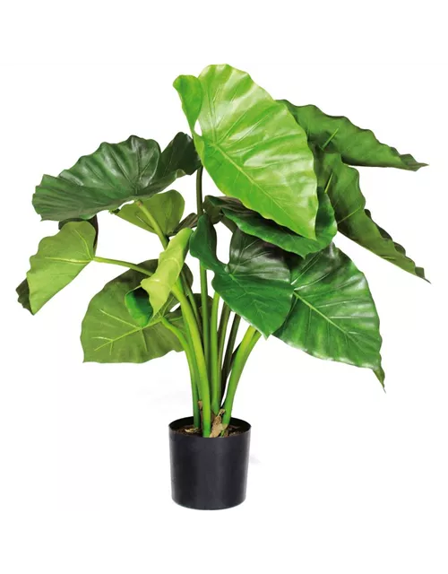 fleur ami ALOCASIA CALIDORA Kunstpflanze