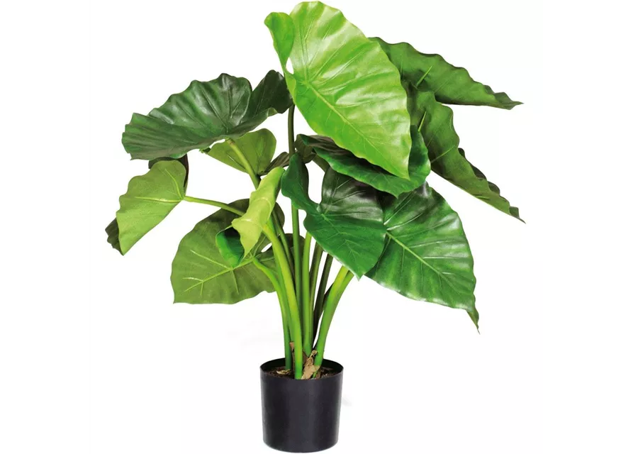 fleur ami ALOCASIA CALIDORA Kunstpflanze