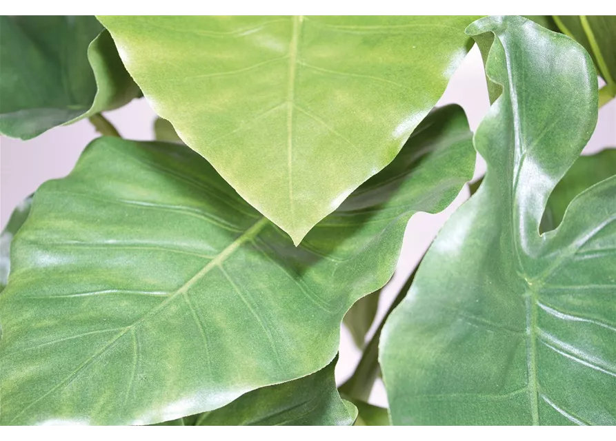 fleur ami ALOCASIA CALIDORA Kunstpflanze