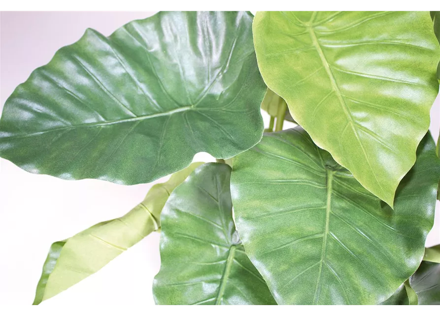 fleur ami ALOCASIA CALIDORA Kunstpflanze