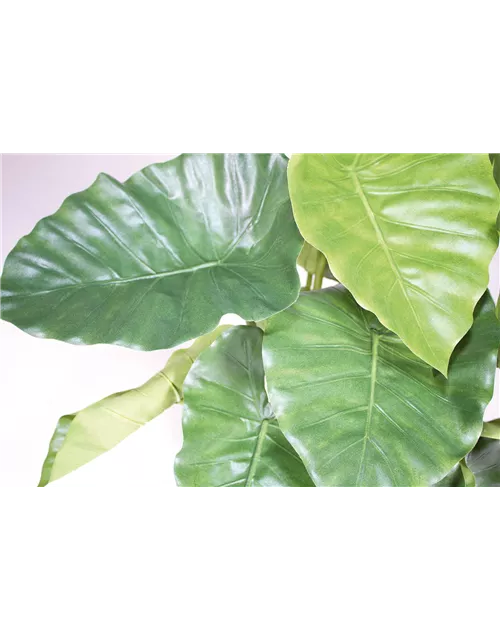 fleur ami ALOCASIA CALIDORA DELUXE Kunstpflanze