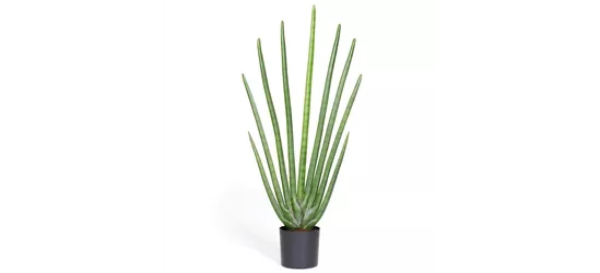 fleur ami SANSEVIERIA CYLINDRICA Kunstpflanze