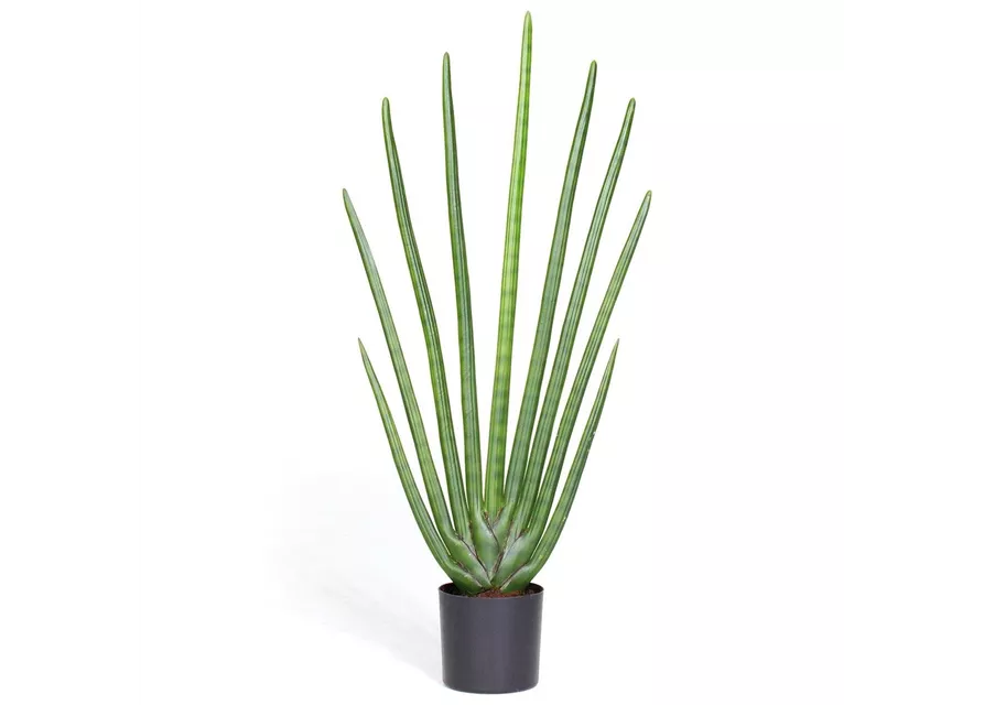 fleur ami SANSEVIERIA CYLINDRICA Kunstpflanze