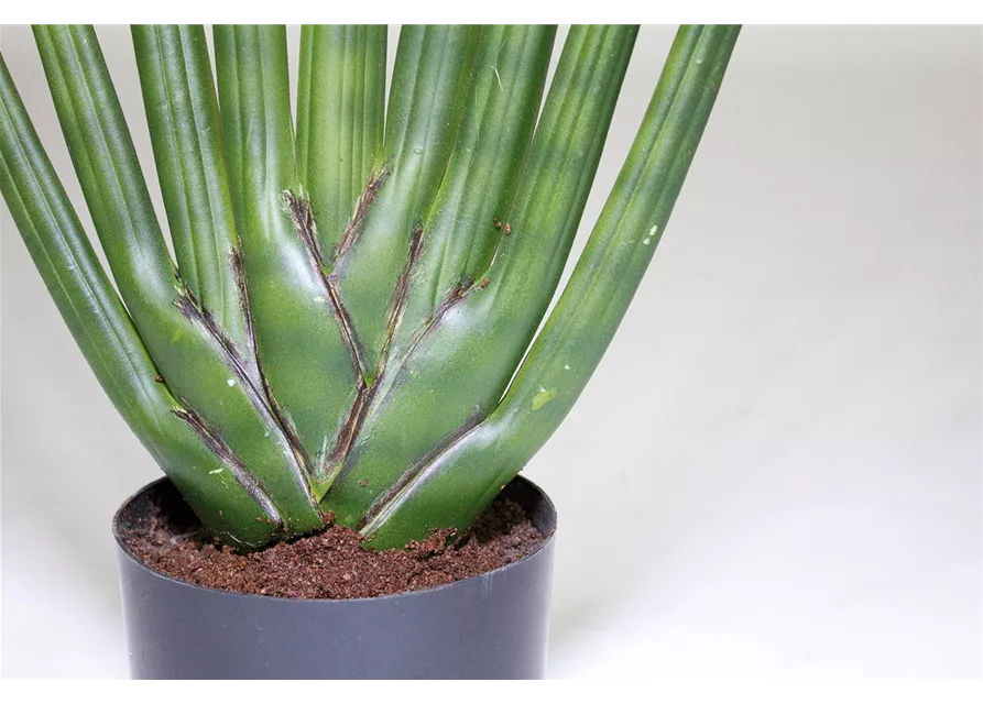 fleur ami SANSEVIERIA CYLINDRICA Kunstpflanze