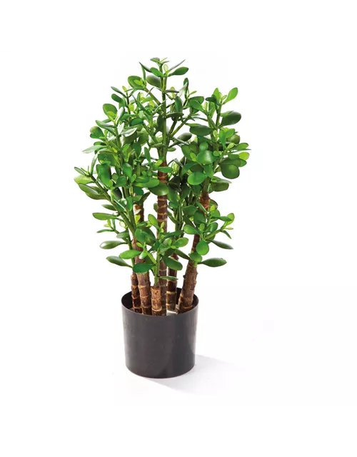 fleur ami CRASSULA OVATA Kunstpflanze