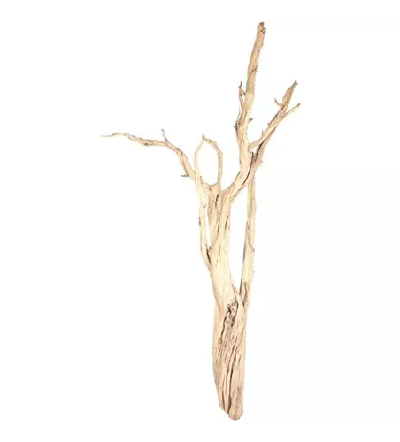 fleur ami Ghostwood