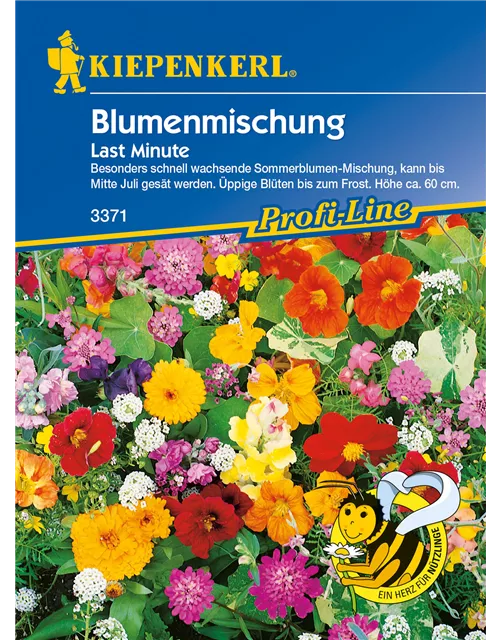 Blumenmischung 'Last Minute'