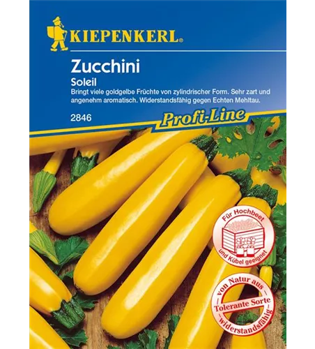 Zucchini 'Soleil F1'