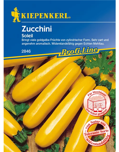 Zucchini 'Soleil F1'