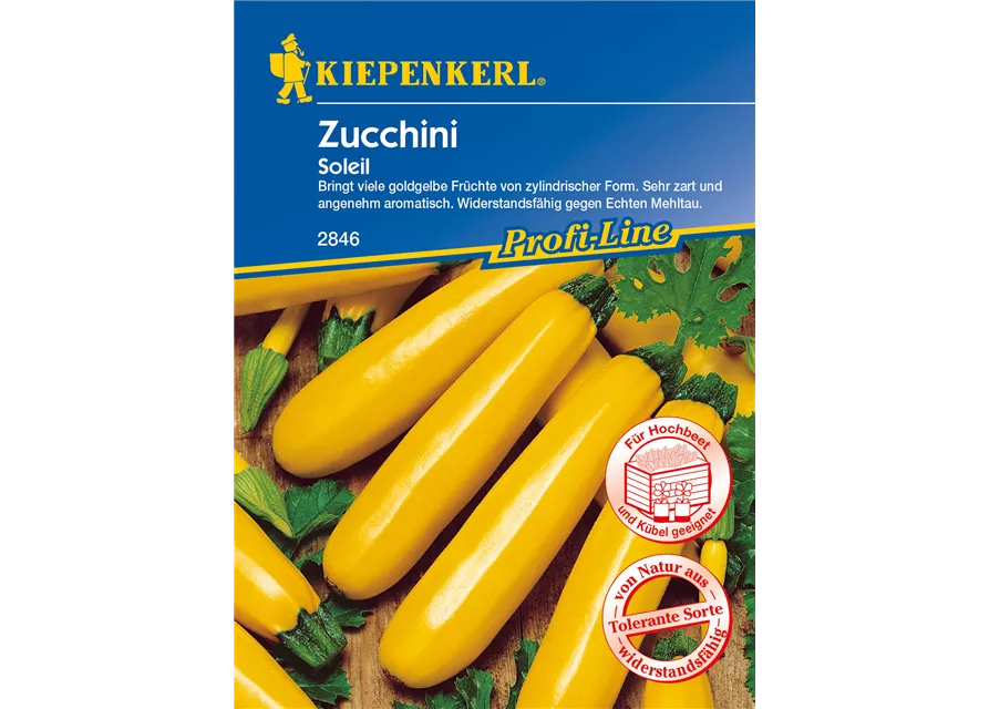 Zucchini 'Soleil F1'