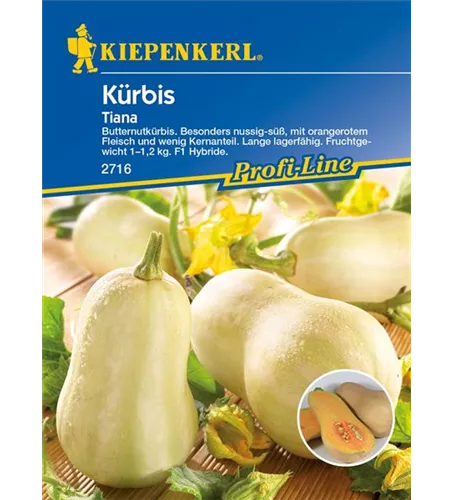 Kürbis 'Tiana'