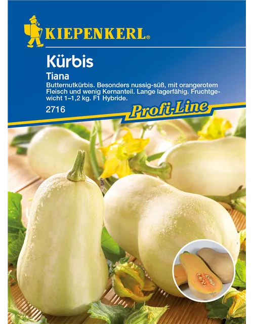 Kürbis 'Tiana'