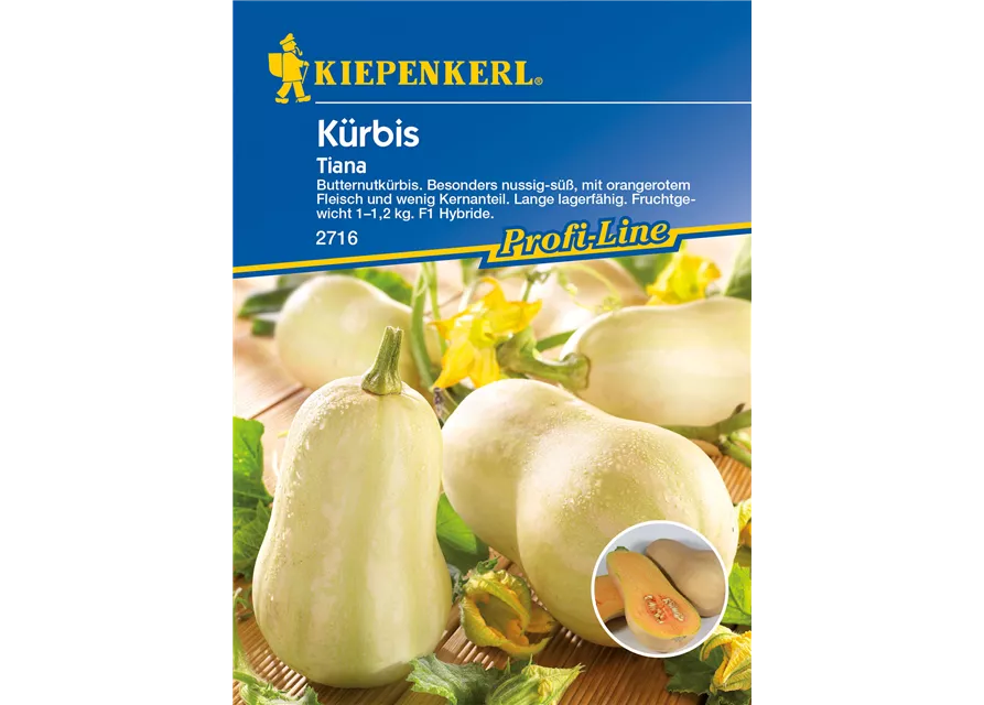 Kürbis 'Tiana'