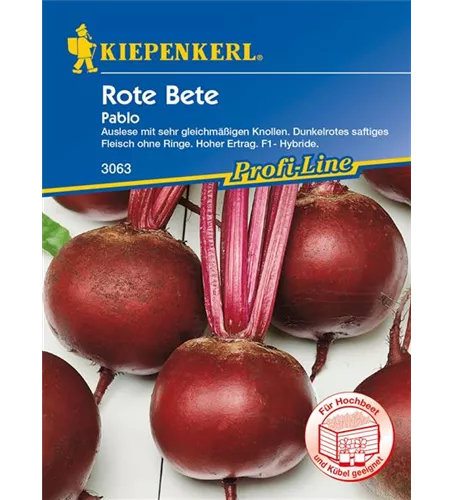 Rote Rübe 'Pablo'