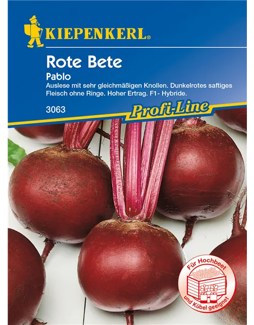 Rote Rübe 'Pablo'