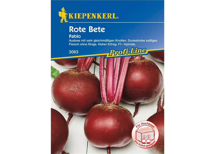 Rote Rübe 'Pablo'