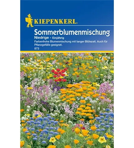 Niedrige Sommerblumen