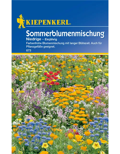 Niedrige Sommerblumen