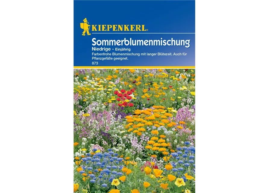 Niedrige Sommerblumen