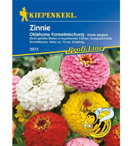 Garten-Zinnie 'Oklahoma-Formelmix'