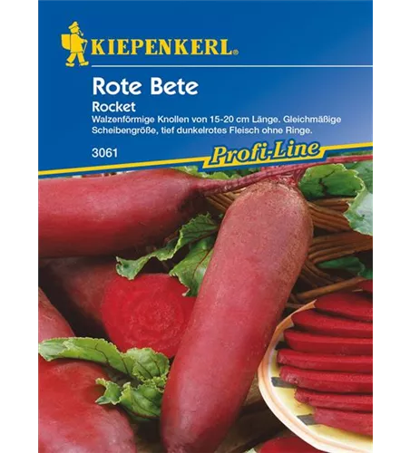 Rote Beete 'Rocket'