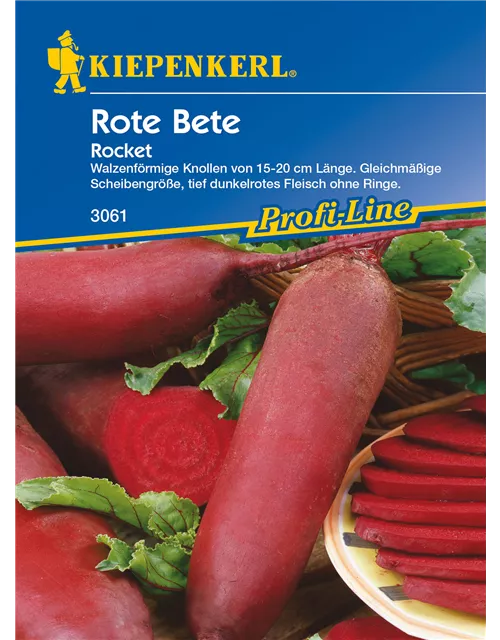 Rote Beete 'Rocket'