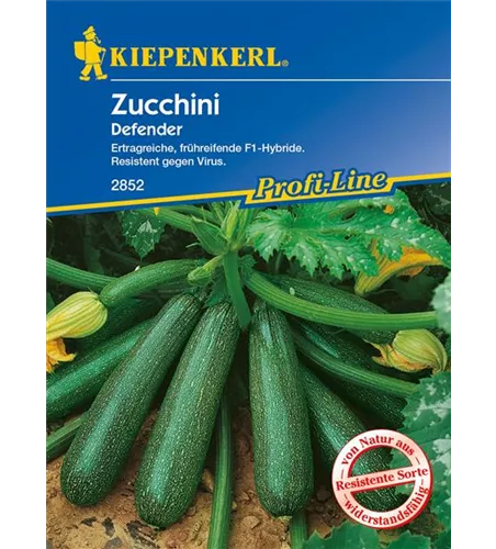 Zucchini 'Defender F1'