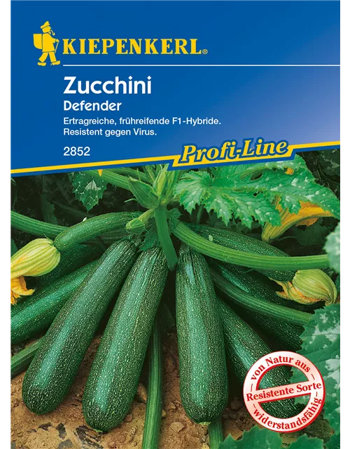 Zucchini 'Defender F1'