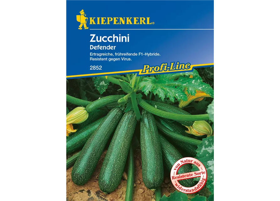 Zucchini 'Defender F1'