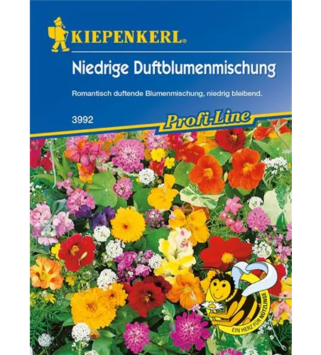 Niedrige Duftblumen