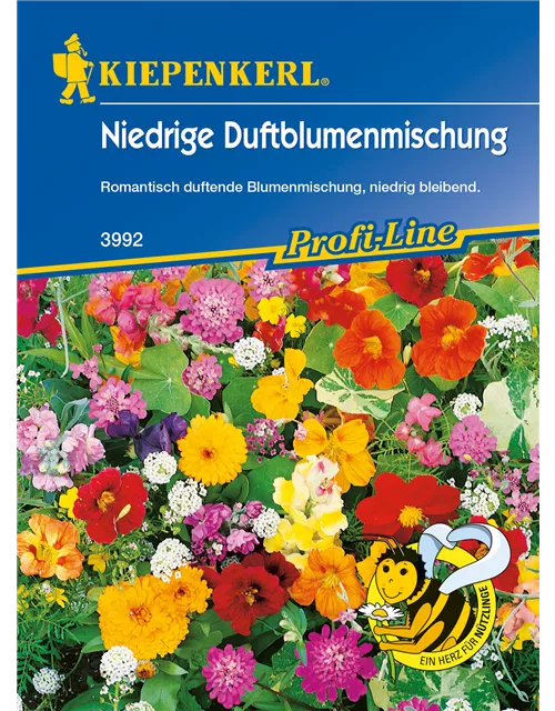 Niedrige Duftblumen