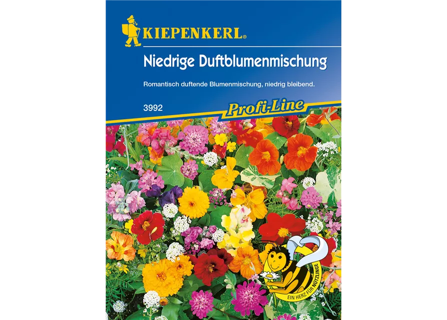 Niedrige Duftblumen