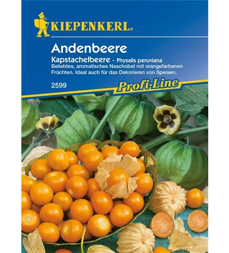 Andenbeere