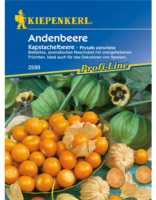 Andenbeere