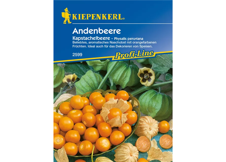 Andenbeere