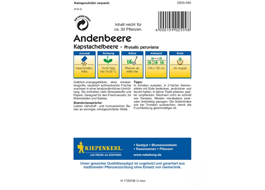 Andenbeere