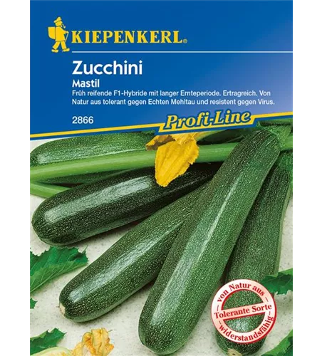 Zucchini 'Mastil'