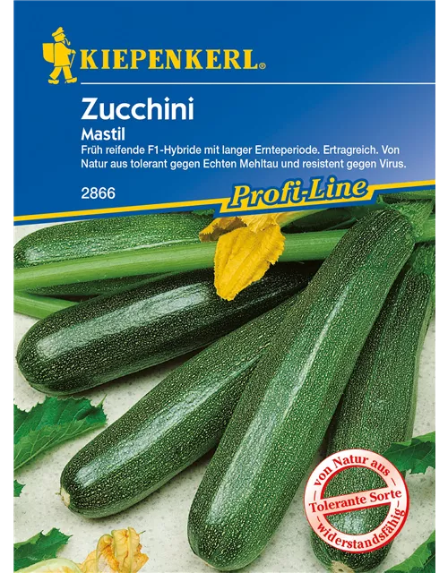 Zucchini 'Mastil'