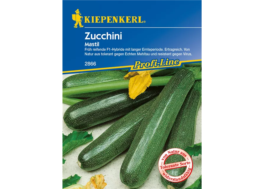 Zucchini 'Mastil'